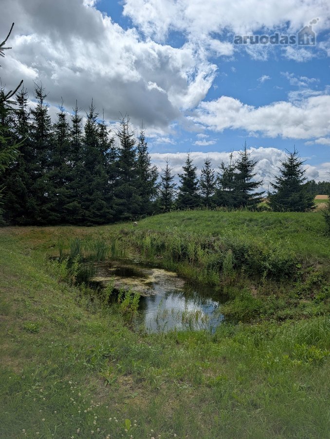 Lazdijų r. sav. Šeštokų sen., Gudeliškės k. - nuotraukos Nr. 36