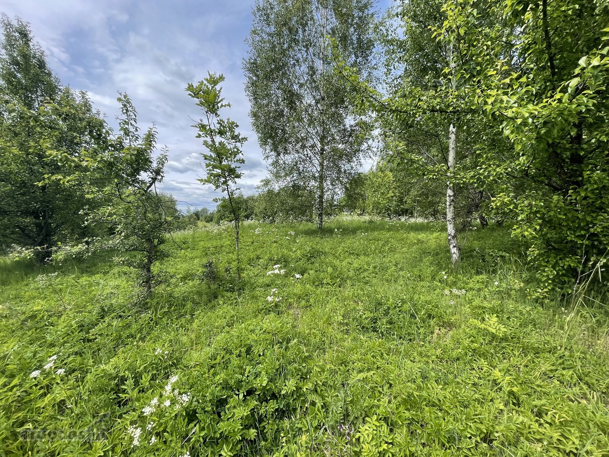 Parduodamas 3.61 Ha Sklypas Su Žaliuojančiu - nuotraukos Nr. 6