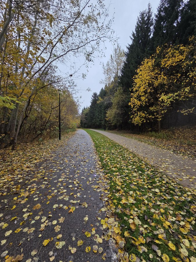 Prieš metus bute atliktas kapitalinis - nuotraukos Nr. 19