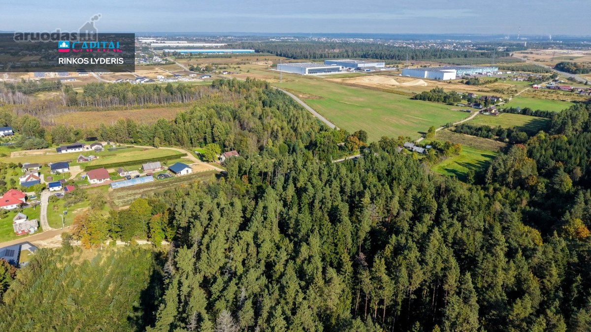 16 Ha Gamtos Apsuptas Sklypas Vos ~20 Km Nuo - nuotraukos Nr. 4