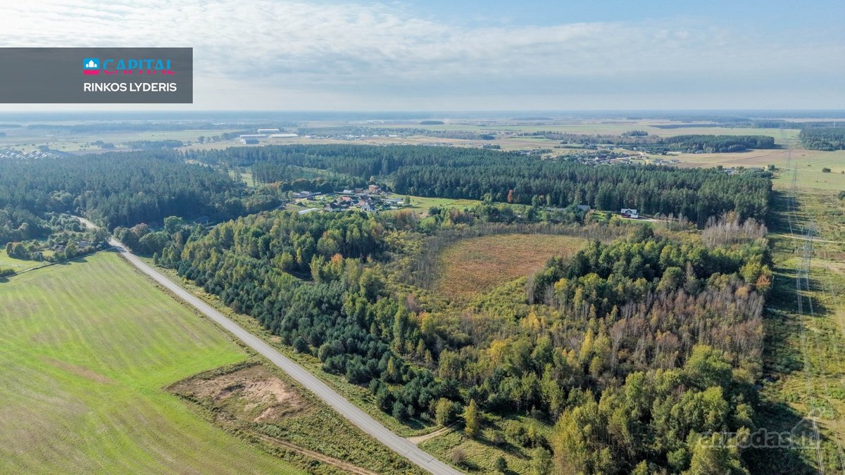 16 Ha Gamtos Apsuptas Sklypas Vos ~20 Km Nuo - nuotraukos Nr. 23