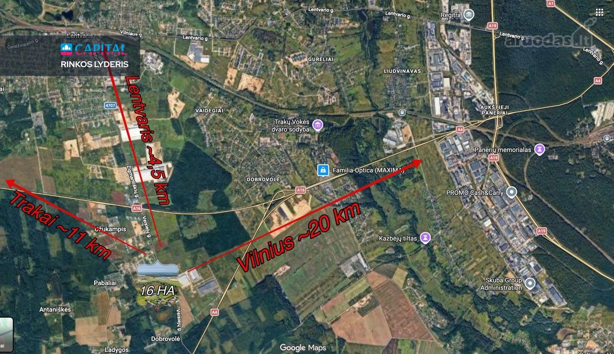 16 Ha Gamtos Apsuptas Sklypas Vos ~20 Km Nuo - nuotraukos Nr. 39