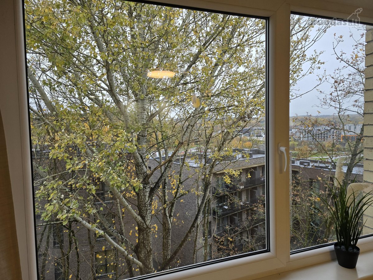Room for rent 20m2 with bathroom near Old - nuotraukos Nr. 11