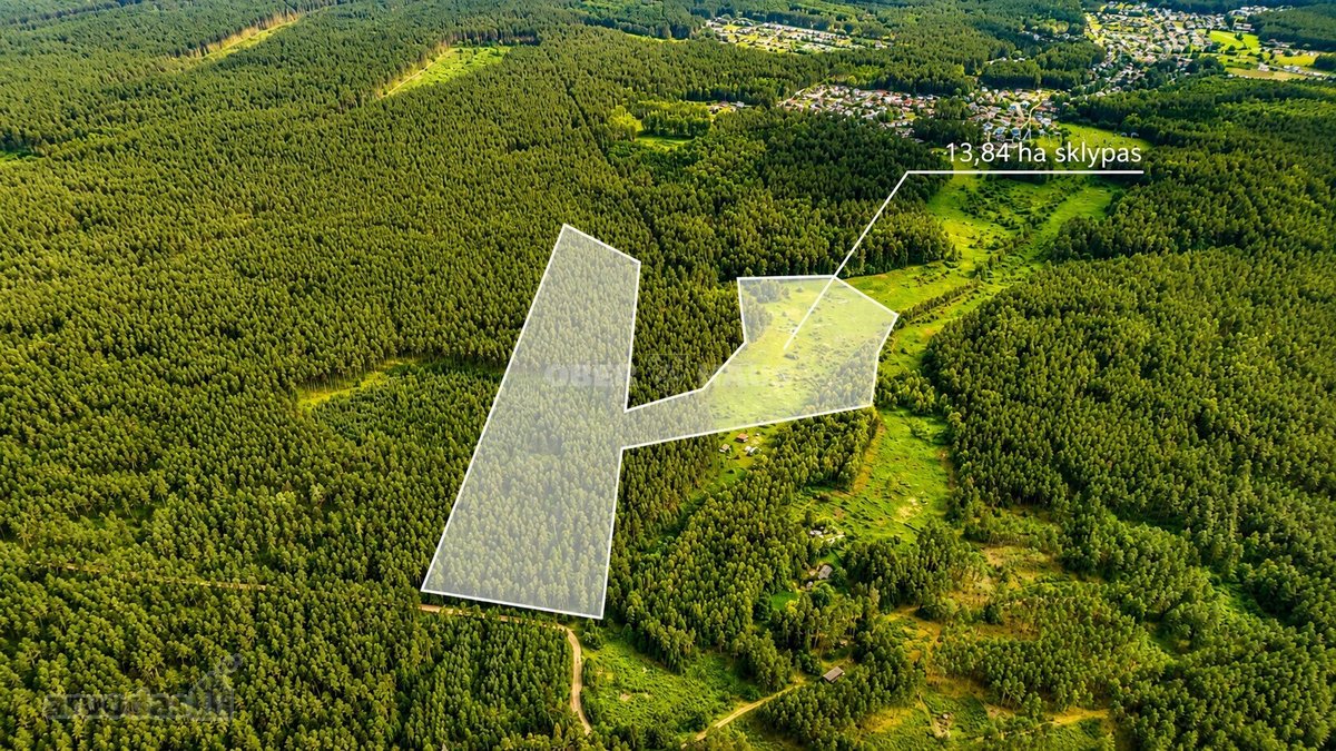Parduodami trys žemės sklypai Nemenčinės - nuotraukos Nr. 3
