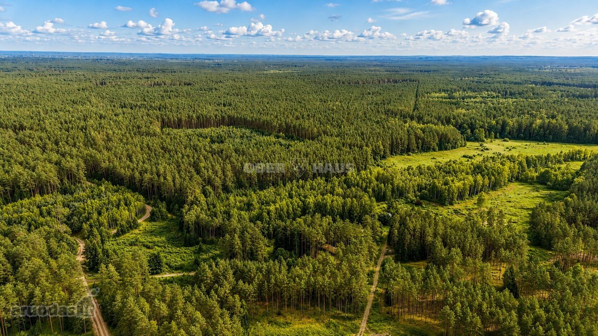 Parduodami trys žemės sklypai Nemenčinės - nuotraukos Nr. 5