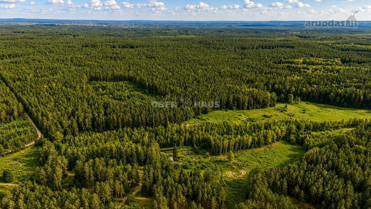 Parduodami trys žemės sklypai Nemenčinės - nuotraukos Nr. 7