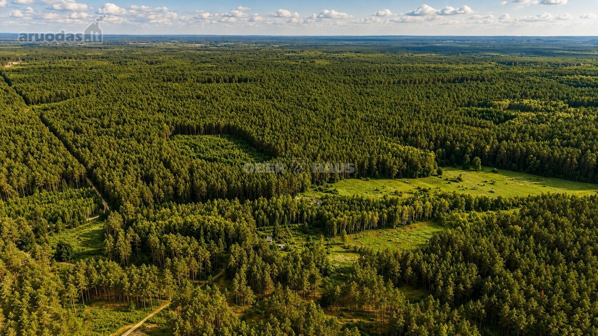 Parduodami trys žemės sklypai Nemenčinės - nuotraukos Nr. 8