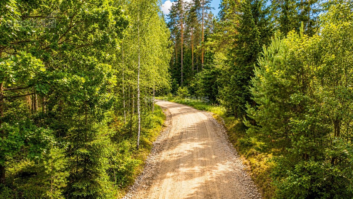 Parduodami trys žemės sklypai Nemenčinės - nuotraukos Nr. 10