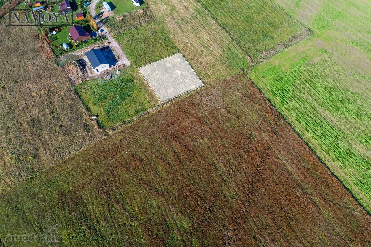 Palangoje, Vilimiškės Kelyje, Parduodamas - nuotraukos Nr. 6