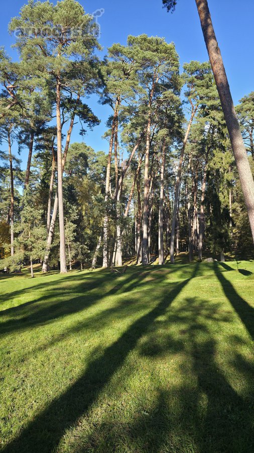 Parduodamas butas kurortinėje Kulautuvoje, - nuotraukos Nr. 28