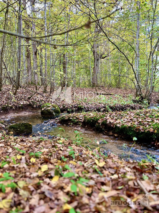 Unikalioje, itin ramioje vietoje, parduodama - nuotraukos Nr. 10