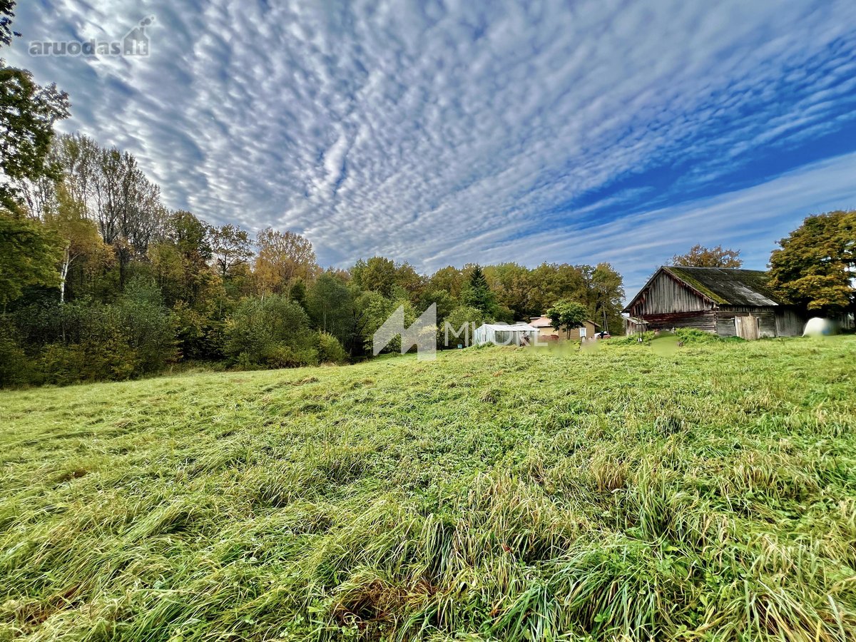 Unikalioje, itin ramioje vietoje, parduodama - nuotraukos Nr. 12