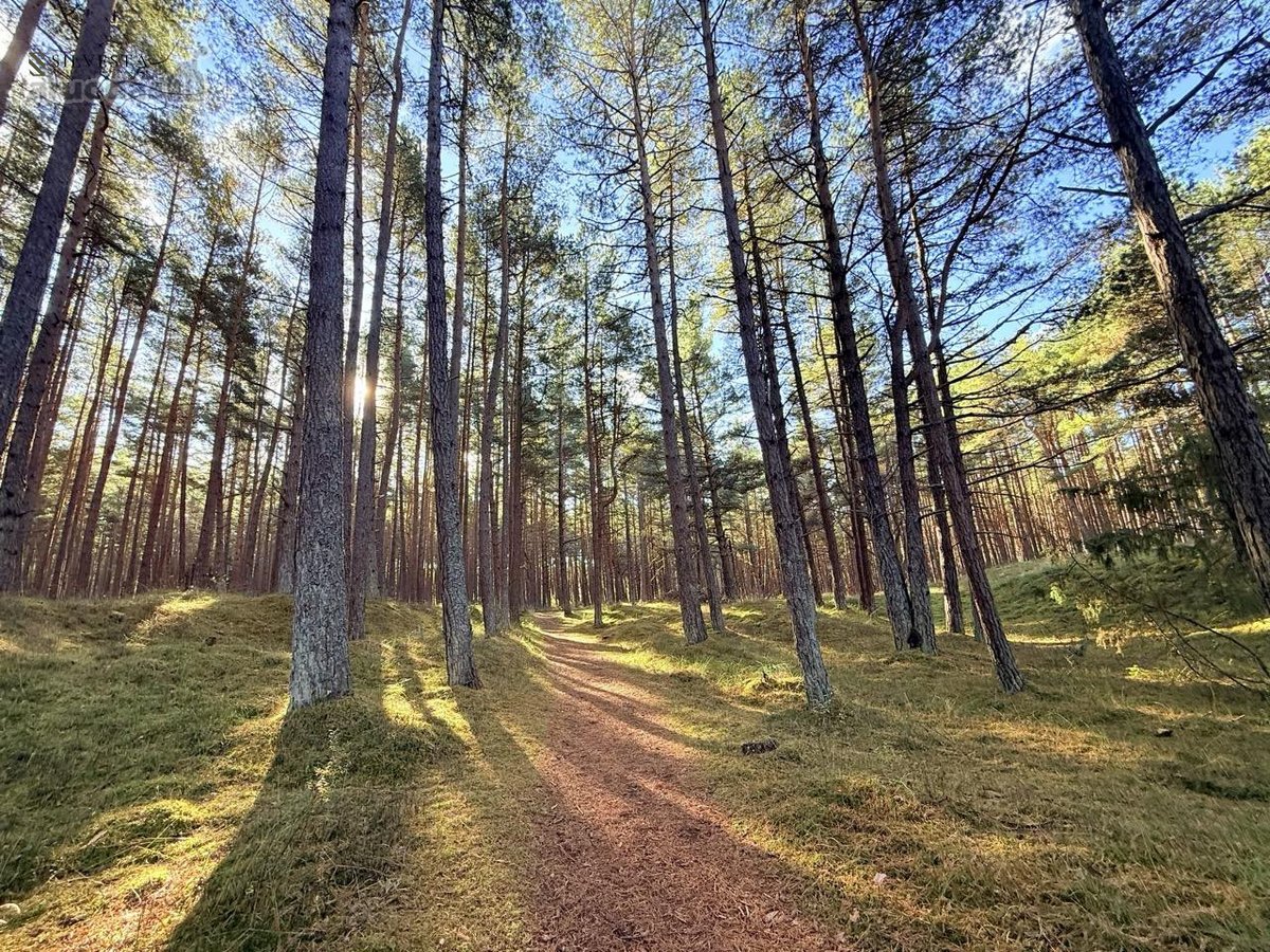 Jūra čia pat, popietės saulė terasoje ir - nuotraukos Nr. 32