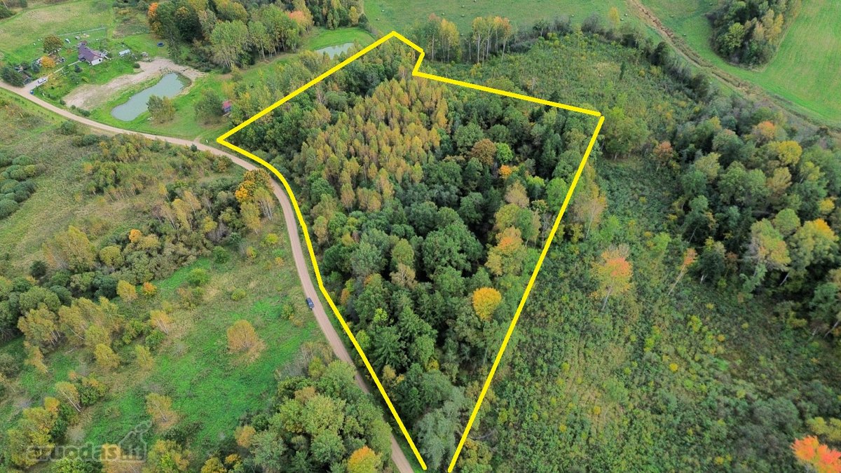 Parduodamas 2,33 ha sklypas su mišku – rami - nuotraukos Nr. 2