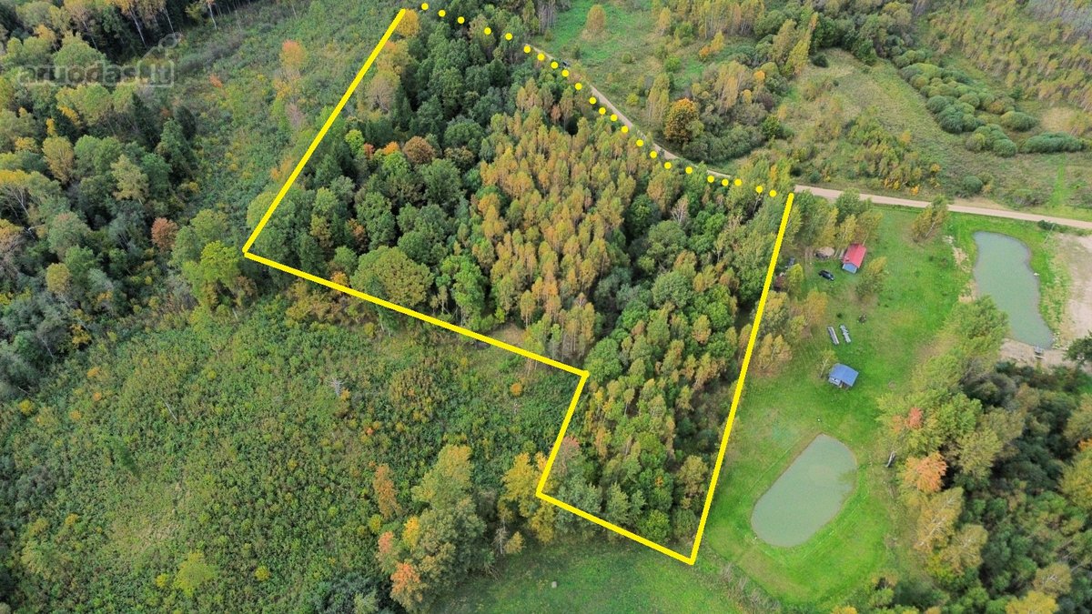 Parduodamas 2,33 ha sklypas su mišku – rami - nuotraukos Nr. 3