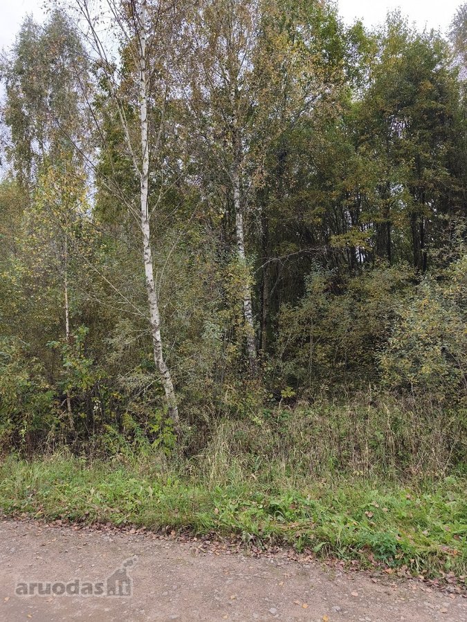Parduodamas 2,33 ha sklypas su mišku – rami - nuotraukos Nr. 4