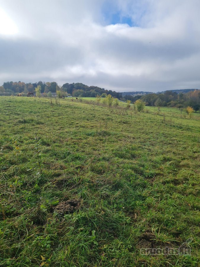 Parduodamas 70,85 A Sklypas Netoli Bartkuškio - nuotraukos Nr. 2