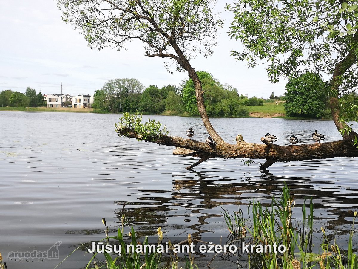 -Skelbimo Aprašyme Esantis Id: 5017- - nuotraukos Nr. 18