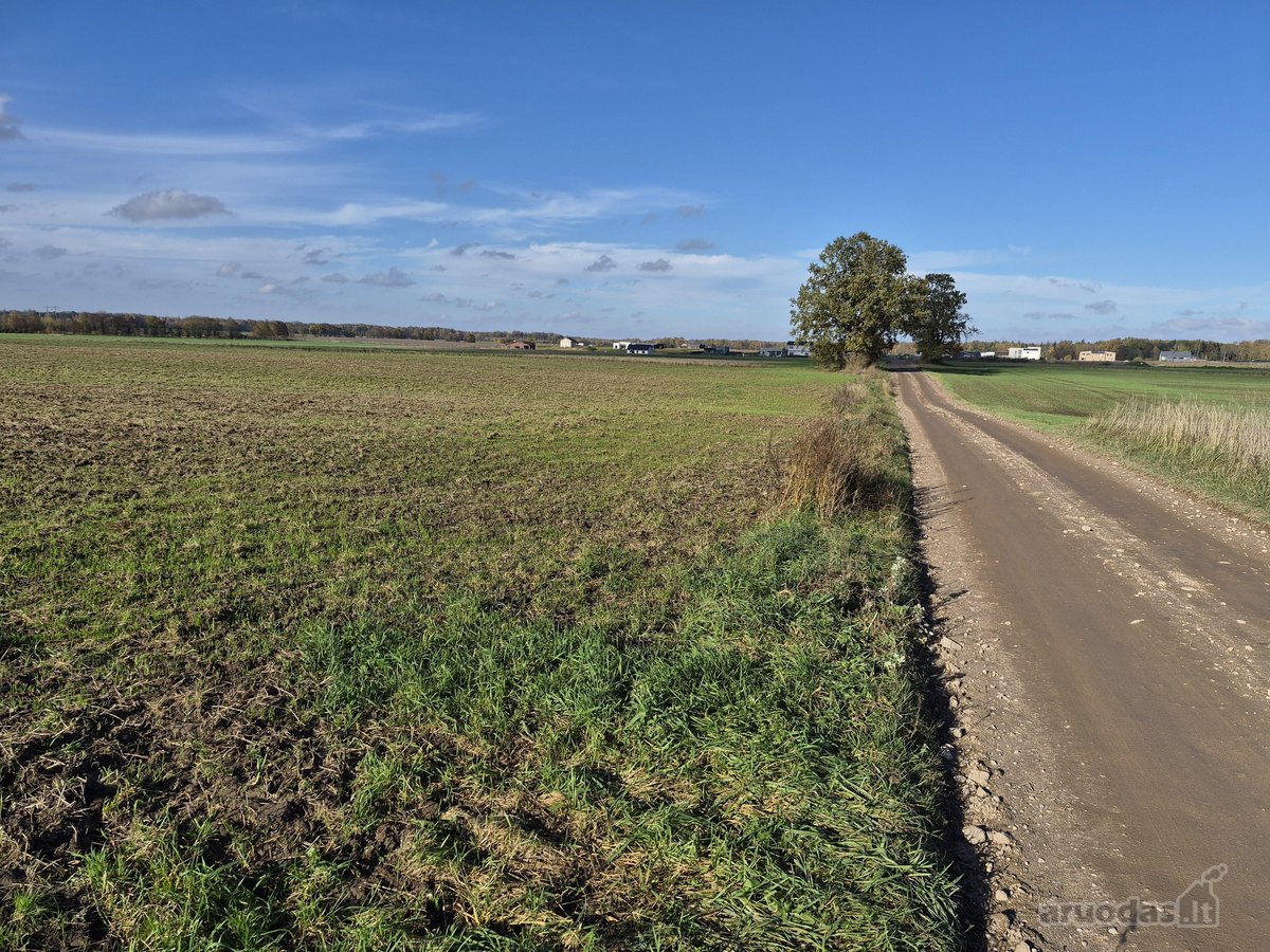 Parduodamas 75 arų žemės ūkio paskirties - nuotraukos Nr. 9