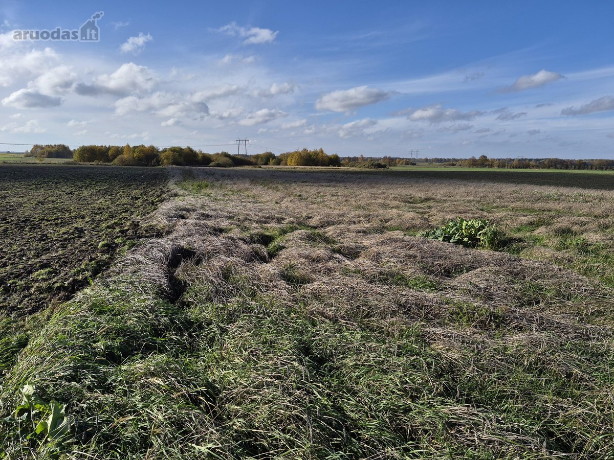 Parduodamas 75 arų žemės ūkio paskirties - nuotraukos Nr. 10