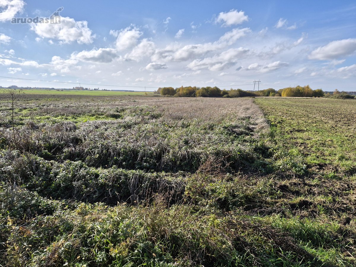 Parduodamas 75 arų žemės ūkio paskirties - nuotraukos Nr. 13