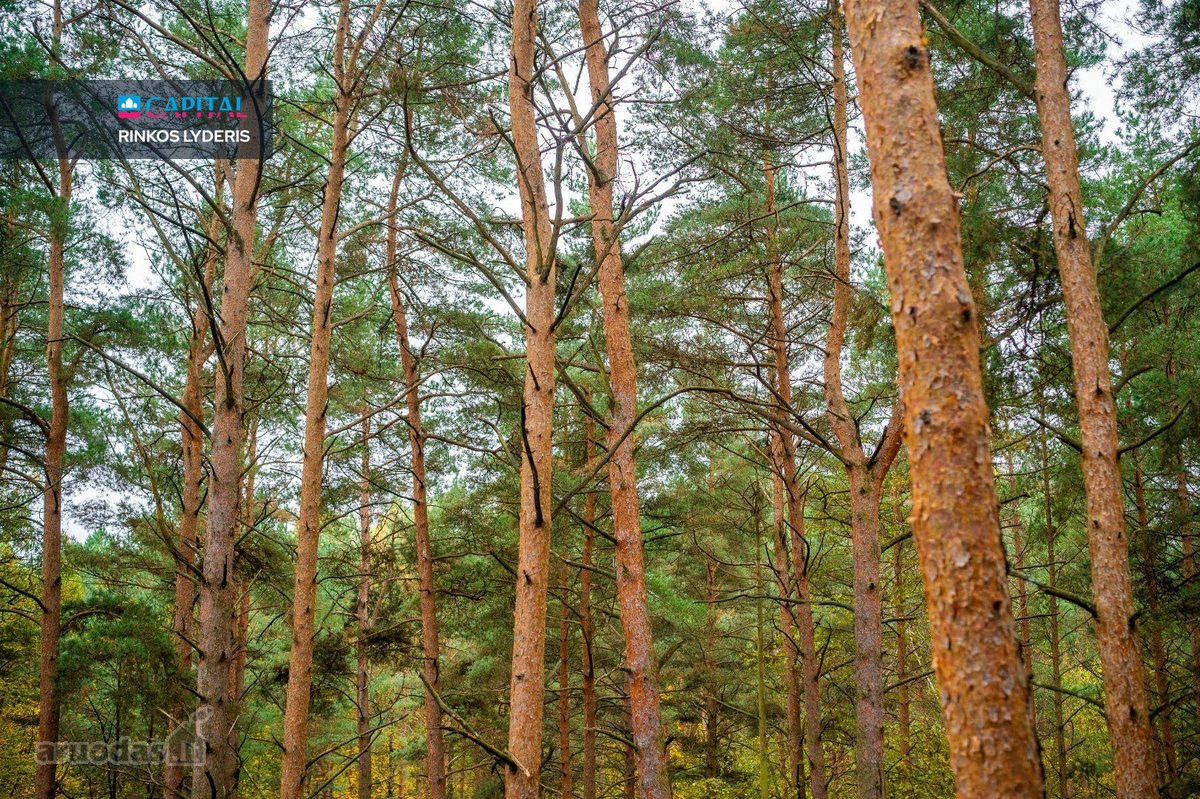 Parduodamas Jaukus Ir Erdvus 3 Kambarių Butas - nuotraukos Nr. 20