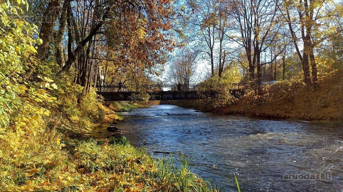 Išskirtinis 63 m² butas Užupio širdyje  - nuotraukos Nr. 16