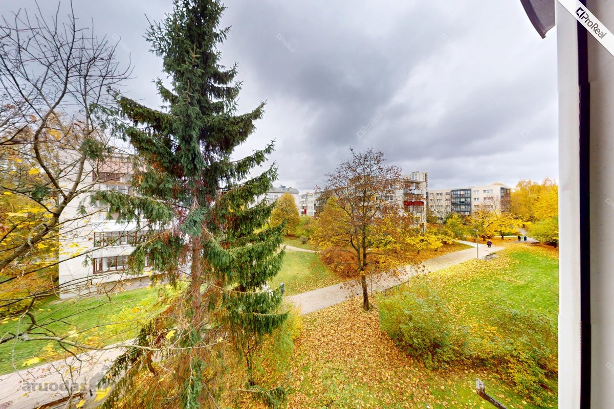 Nuomojamas Šviesus 2 Kambarių Butas - nuotraukos Nr. 11