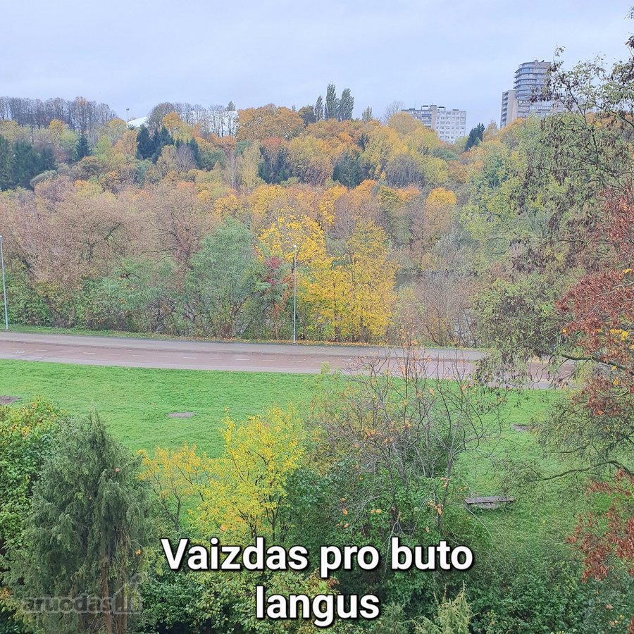 Parduodamas 3 Kamb. Butas Vileišio G. Su - nuotraukos Nr. 2