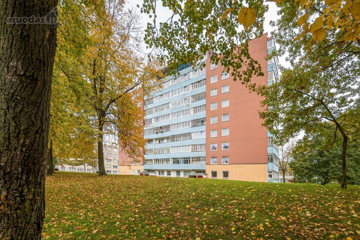 Jaukus ir šviesus 1 kambario butas Baltijos - nuotraukos Nr. 10