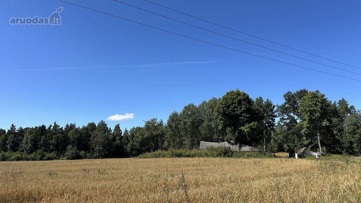 Parduodamas 20 arų ploto namų valdos - nuotraukos Nr. 2