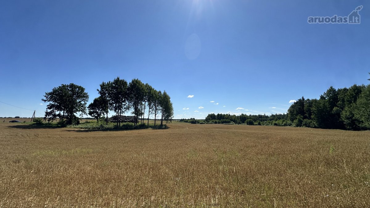 Parduodamas 20 arų ploto namų valdos - nuotraukos Nr. 9