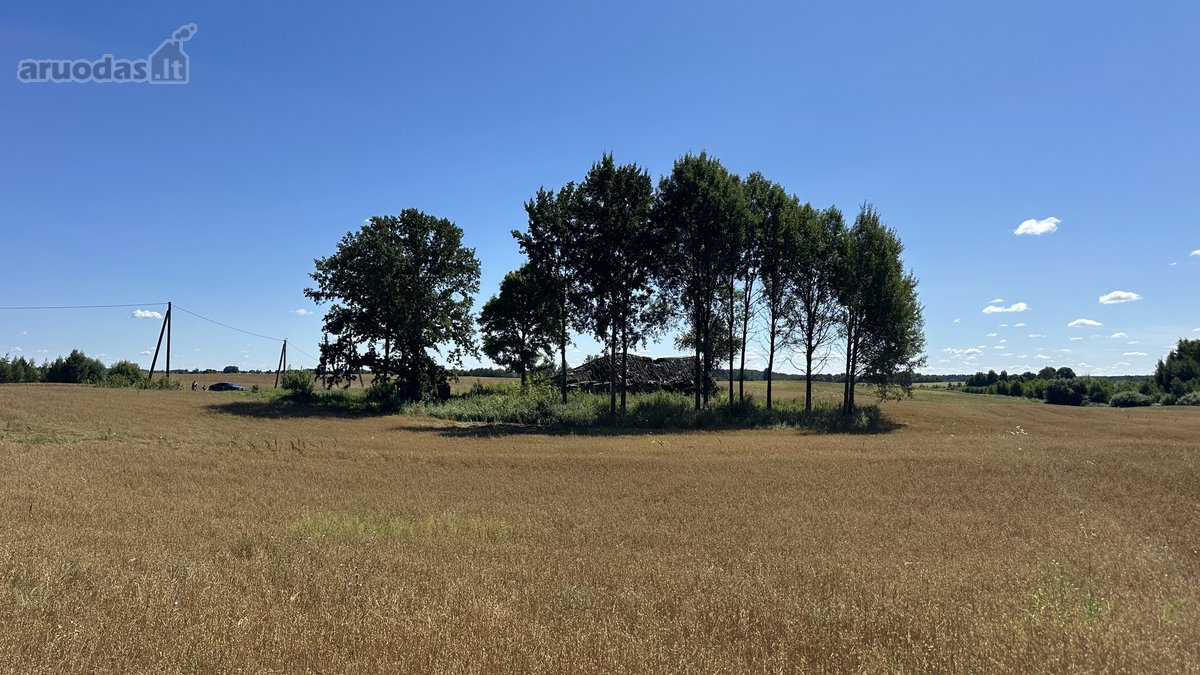 Parduodamas 20 arų ploto namų valdos - nuotraukos Nr. 11