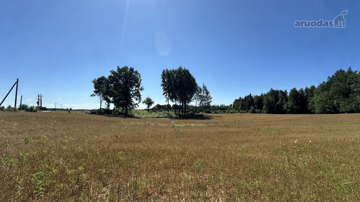 Parduodamas 20 arų ploto namų valdos - nuotraukos Nr. 12