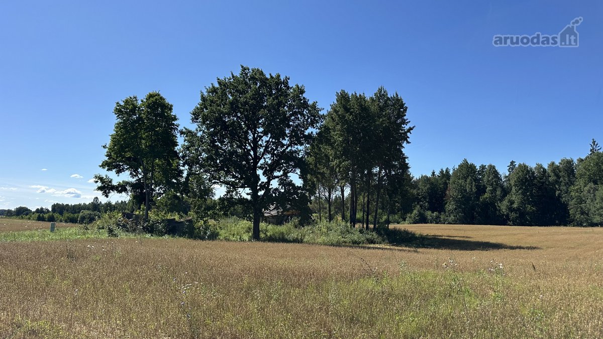 Parduodamas 20 arų ploto namų valdos - nuotraukos Nr. 14
