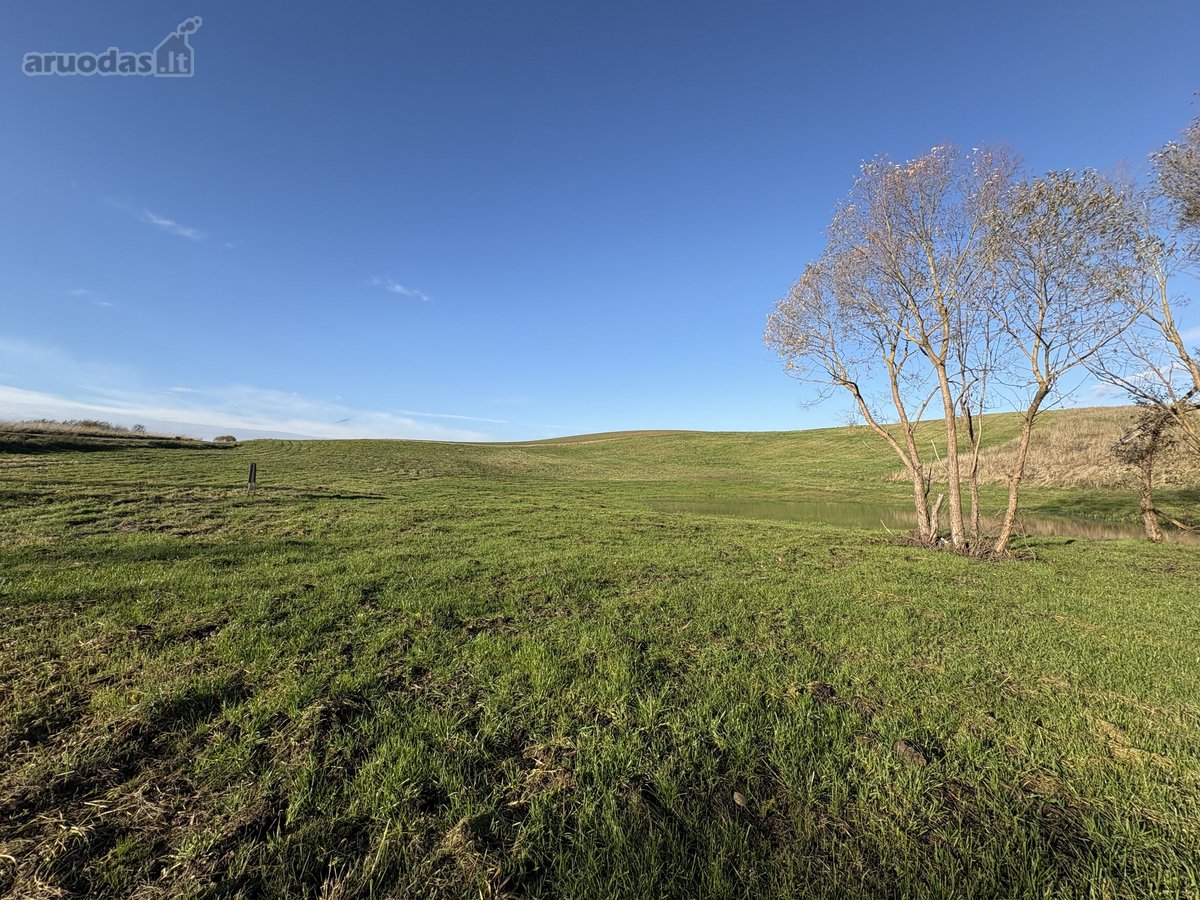 1,17 ha sklypas su kūdra ir upelio pakrante – - nuotraukos Nr. 6