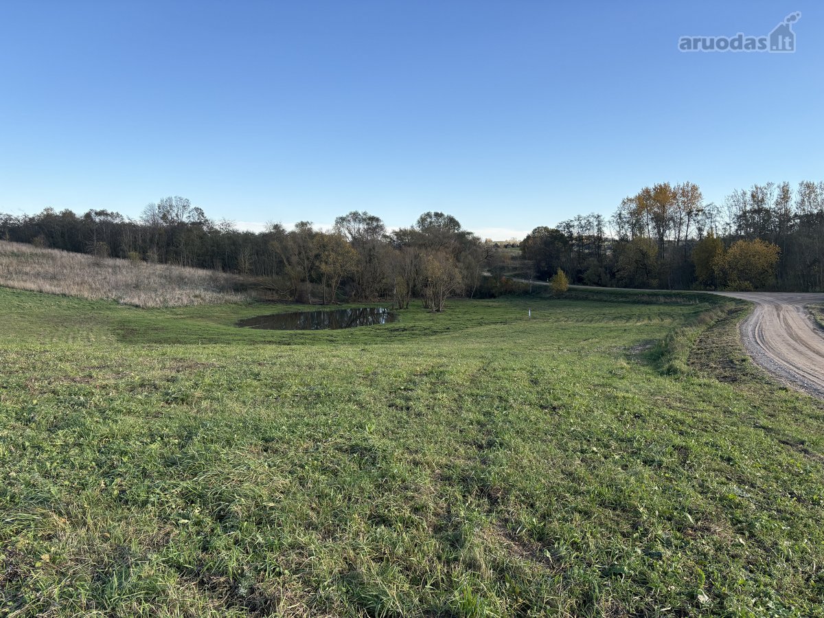 1,17 ha sklypas su kūdra ir upelio pakrante – - nuotraukos Nr. 4