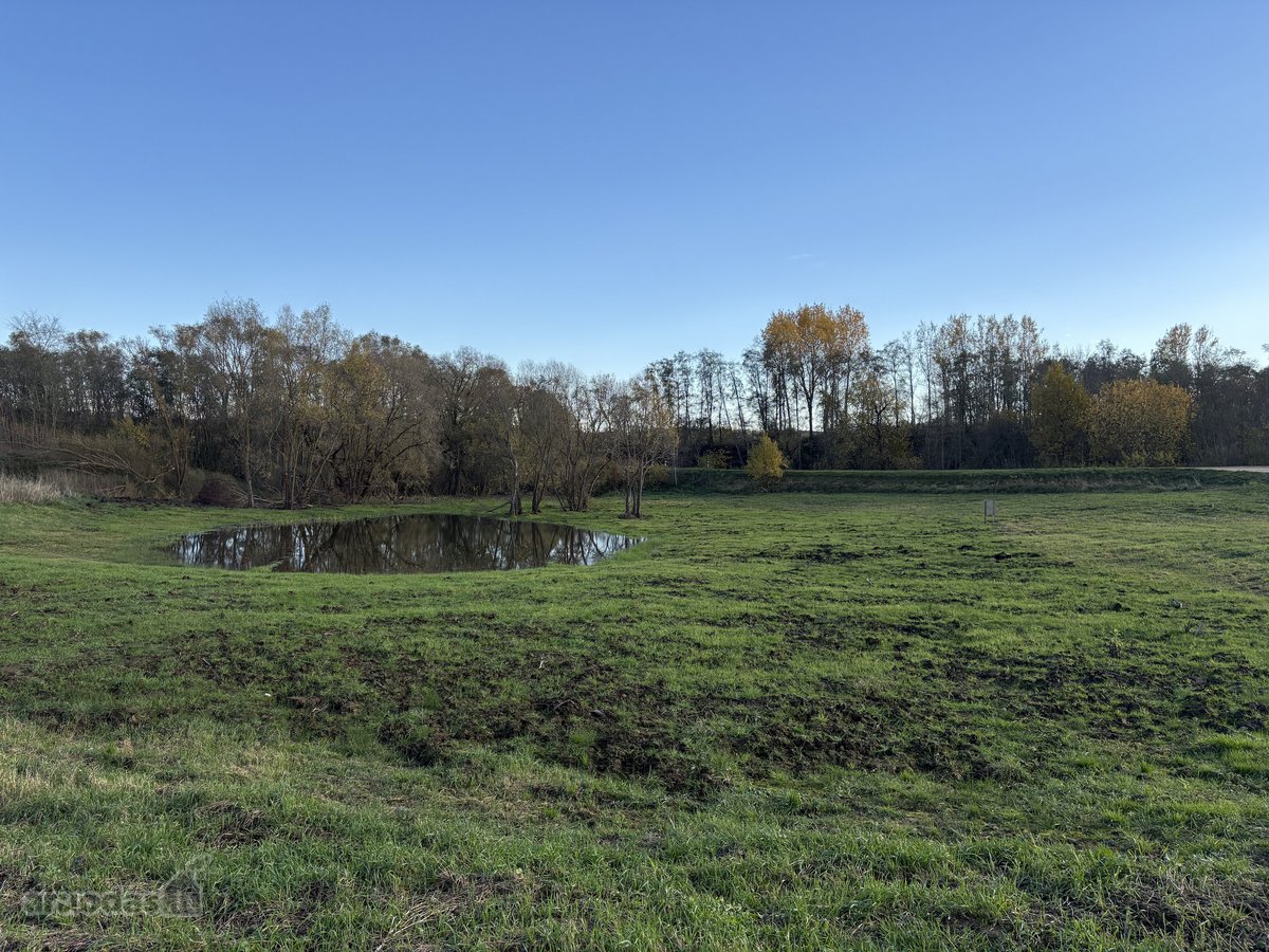 1,17 ha sklypas su kūdra ir upelio pakrante – - nuotraukos Nr. 2