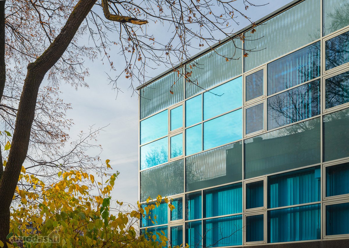 Oficina Studijos įsilieja į miesto ritmą - nuotraukos Nr. 18