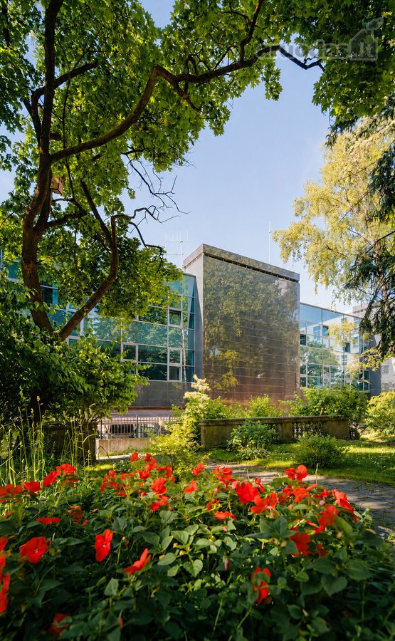 Oficina Studijos įsilieja į miesto ritmą - nuotraukos Nr. 8