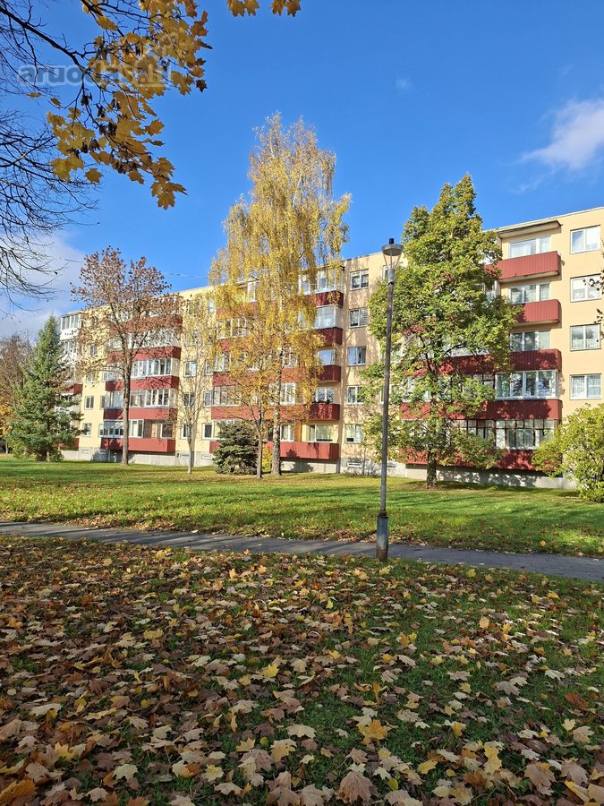Parduodamas Jaukus, Po Naujo Remonto 1 - nuotraukos Nr. 20