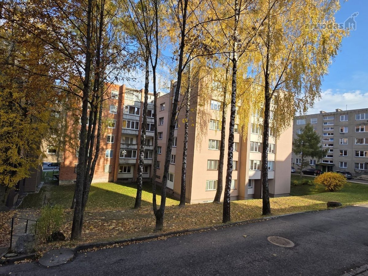 Jaunimo g. Alytuje - nuotraukos Nr. 2