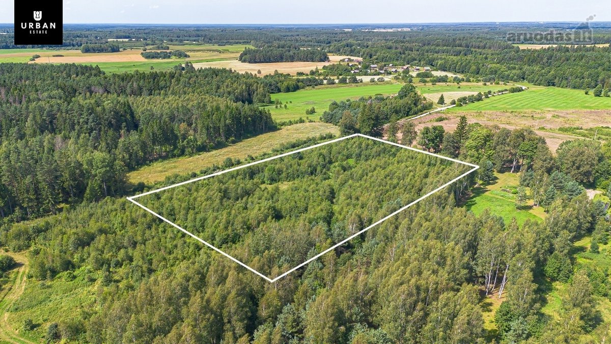 1.69 Ha Žemės Ūkio Paskirties Sklypas - nuotraukos Nr. 10