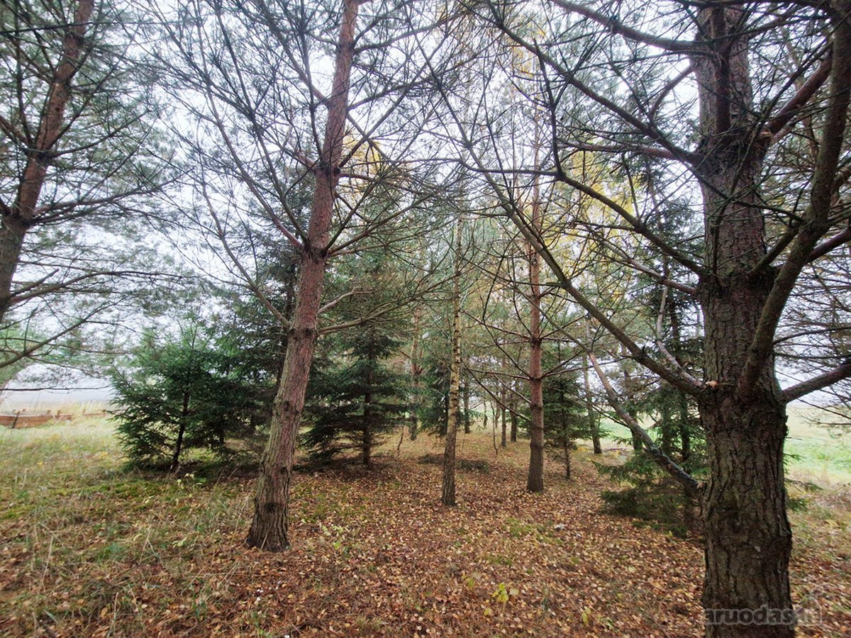 Molėtų Rajone Parduodama Renovuota Sodyba - - nuotraukos Nr. 22