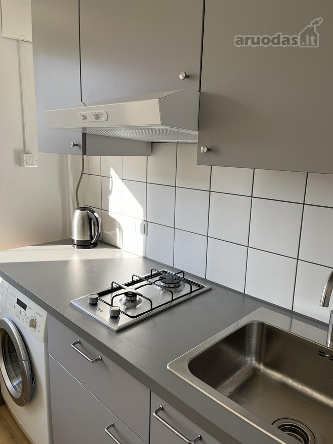 Nuomojamas šviesus ir jaukus 1 kambario butas - nuotraukos Nr. 12