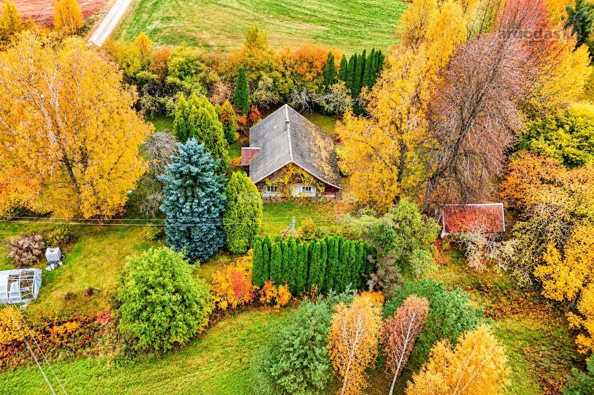 Parduodama Rąstinė Sodyba Su 2,65 Ha Sklypu - nuotraukos Nr. 11
