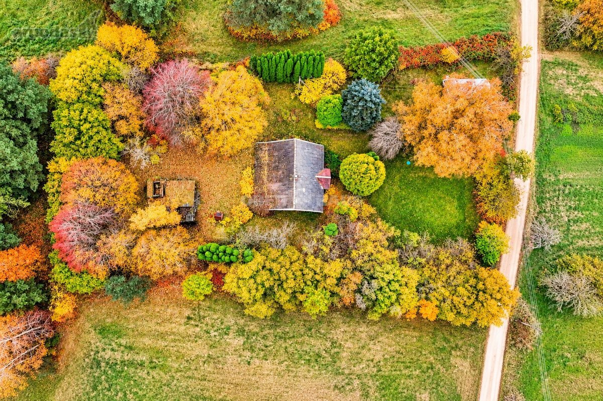 Parduodama Rąstinė Sodyba Su 2,65 Ha Sklypu - nuotraukos Nr. 13