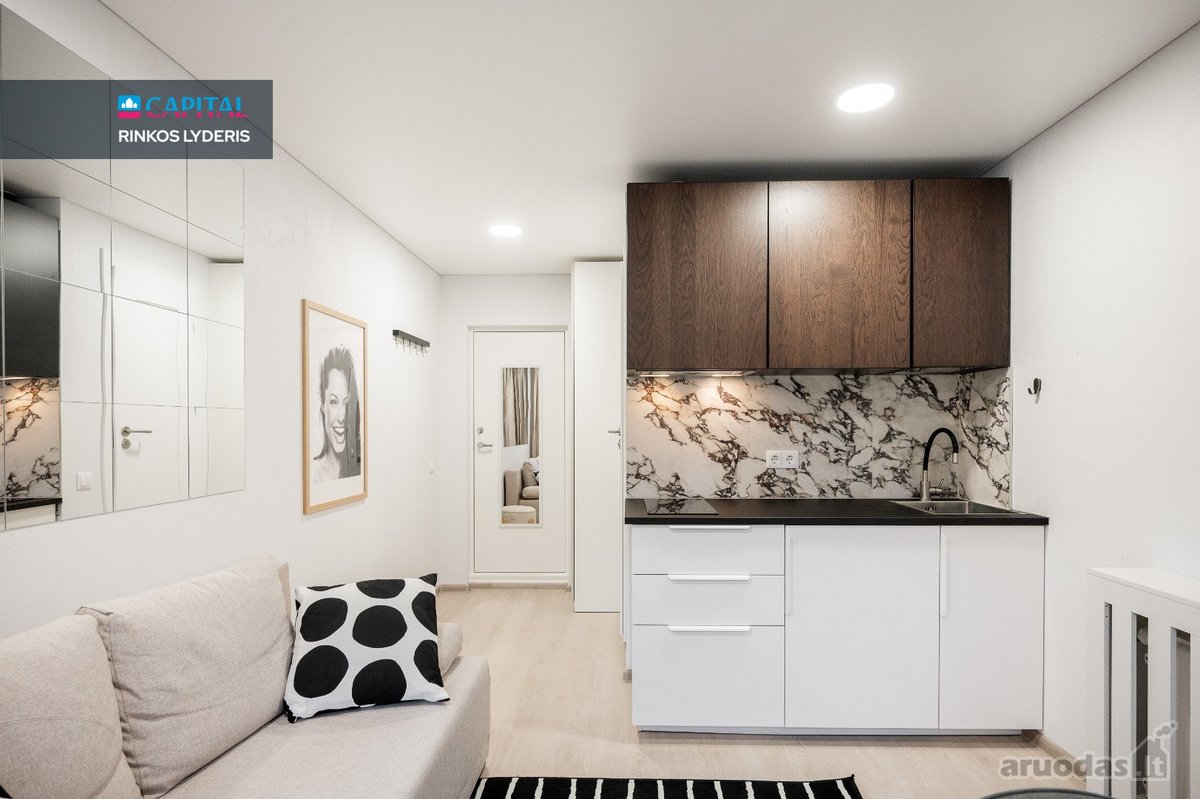 Nuomojama Stilinga 17,11 M² Studija Su - nuotraukos Nr. 2