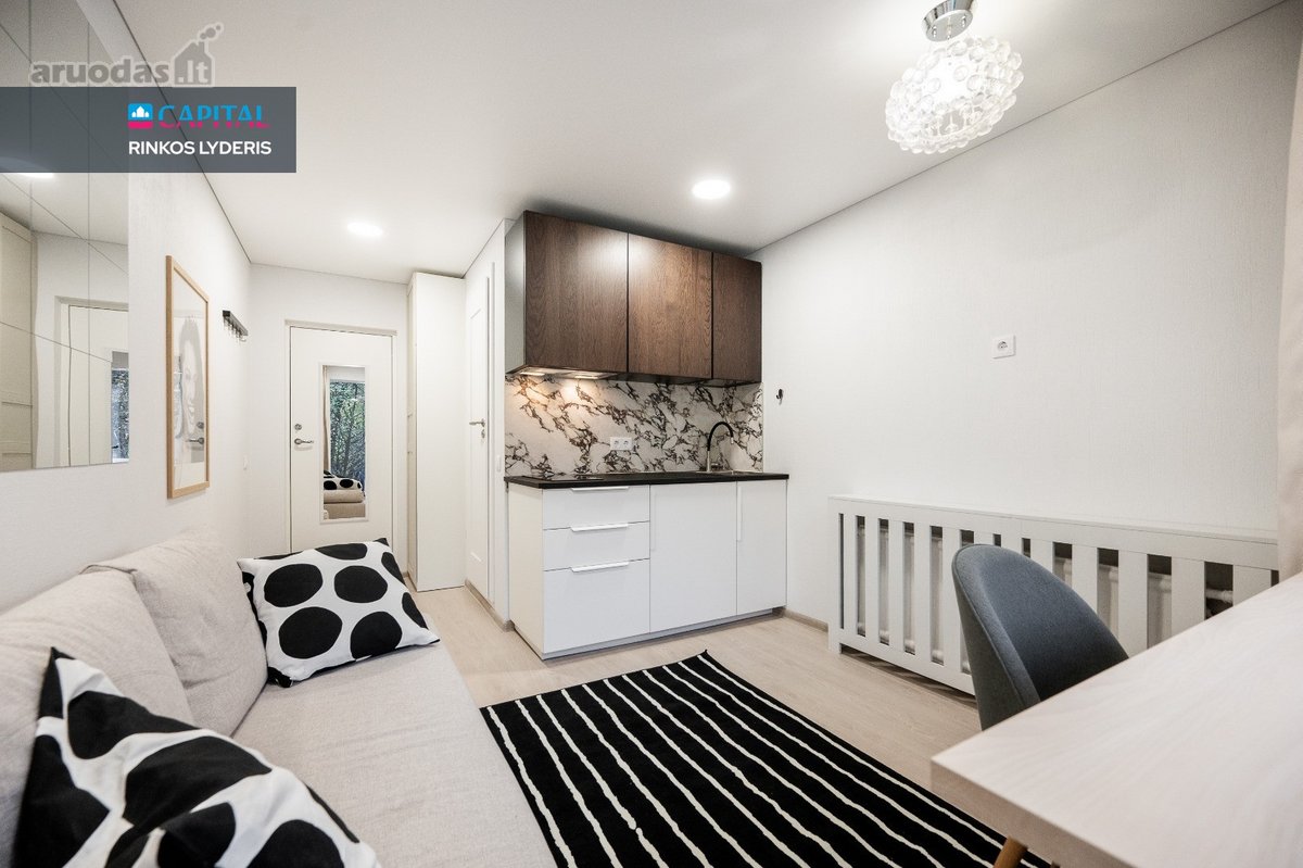 Nuomojama Stilinga 17,11 M² Studija Su - nuotraukos Nr. 3