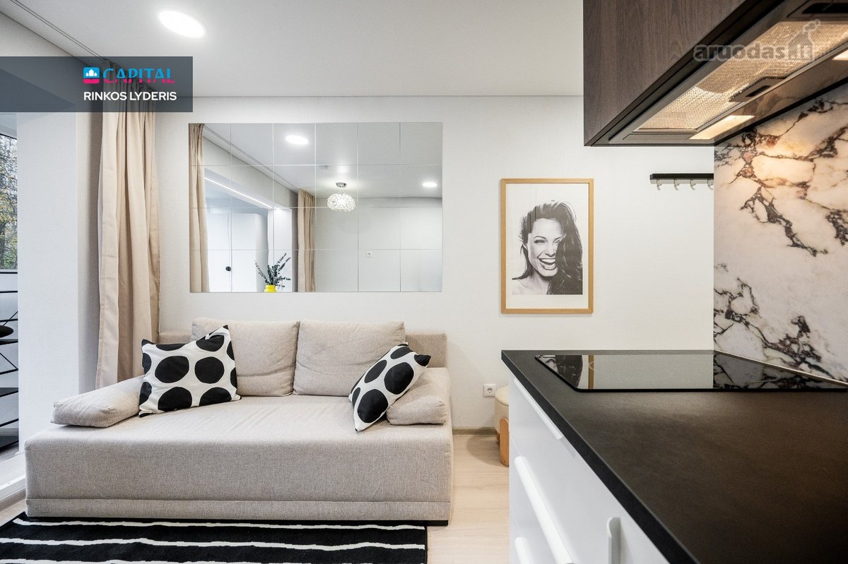 Nuomojama Stilinga 17,11 M² Studija Su - nuotraukos Nr. 8